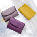 Carteira Premium Inteligente