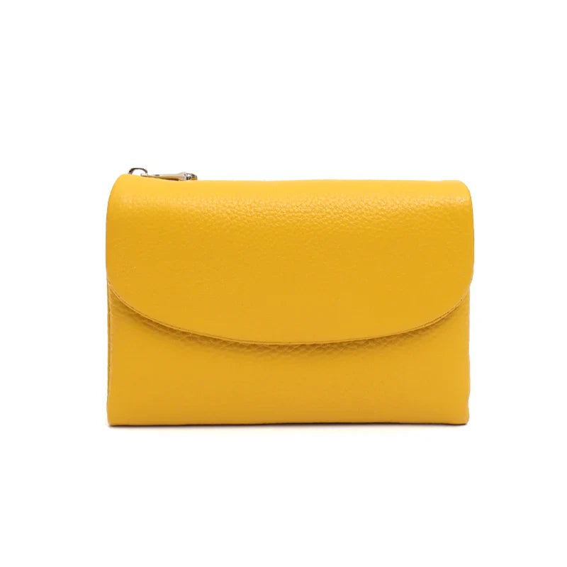 Carteira Premium Inteligente