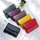 Carteira Premium Inteligente